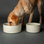 Dog-Water-Bowl-Cup-4